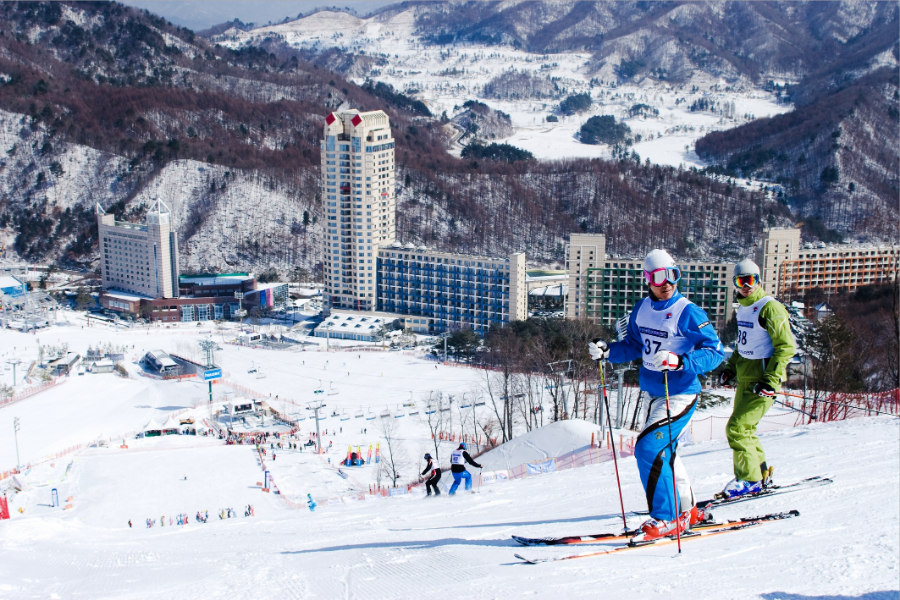 Южная Корея лыжные курорты. Парк Феникс Корея. Пхенчхан горнолыжный курорт. Курорт High 1 (Южная Корея.