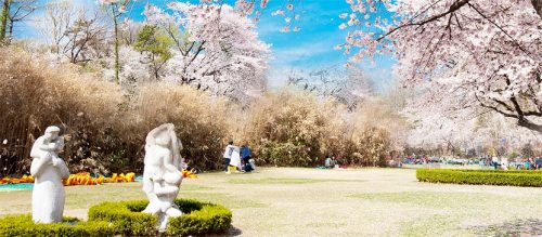 Seoul Children's Park