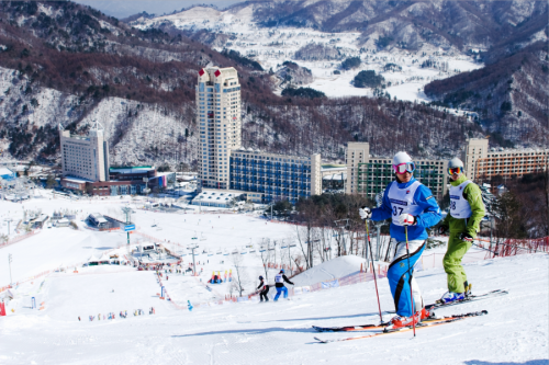 Pyeongchang Phoenix Ski Park