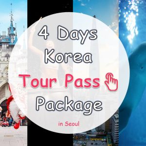 Абонемент на тур по Корее