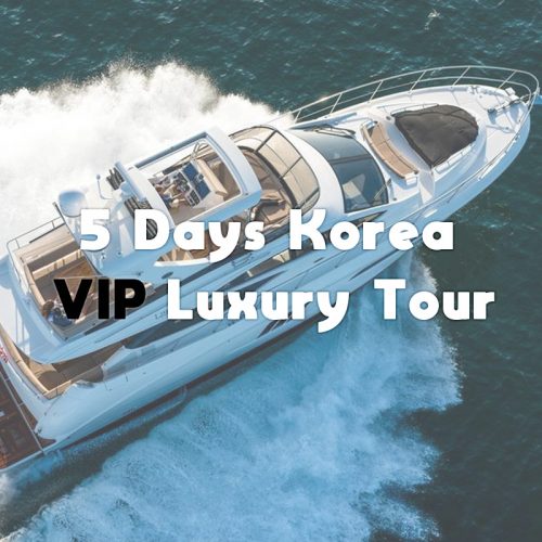 vip tour korea