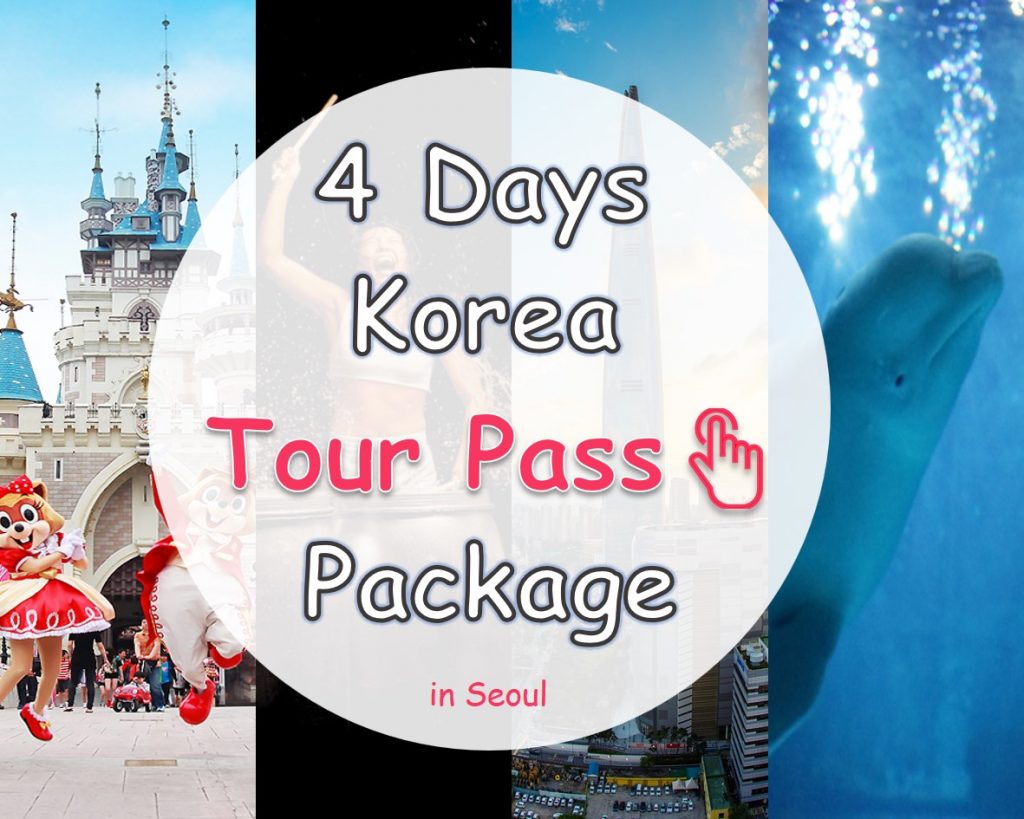 4 DAYS Korea Tour Pass Package