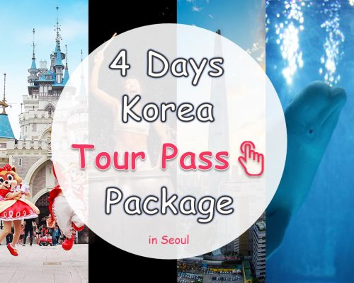 Korea tour pass package