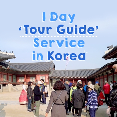 1 DAY Tour Guide Service In Korea