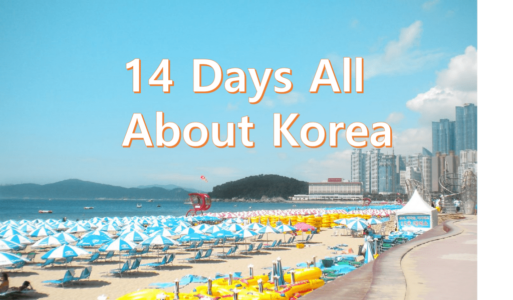 package tour of south korea