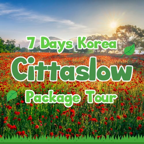 7 Days Korea Cittaslow Package Tour