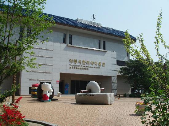 Daegu Yangnyeongsi Museum of Oriental Medicine