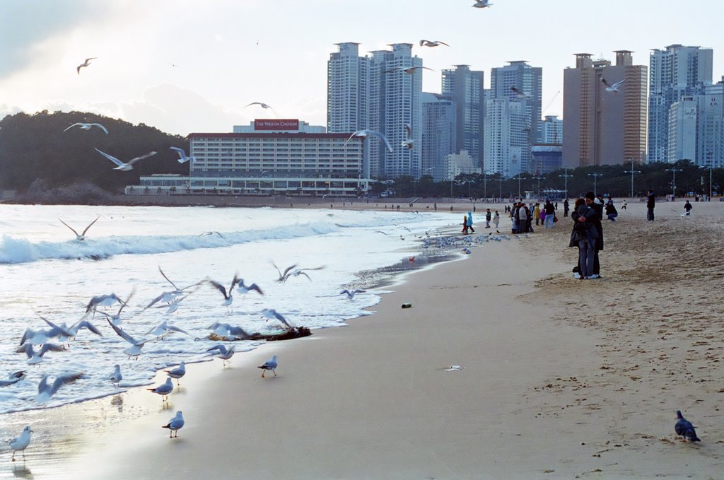 Haeundae Beach