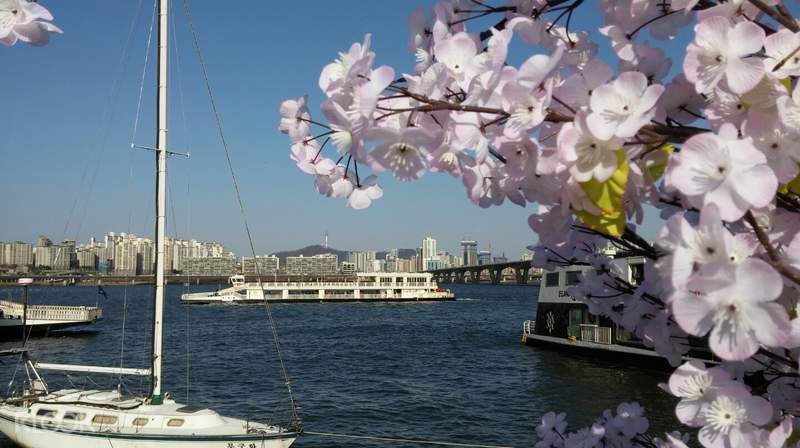 Han River Cruise