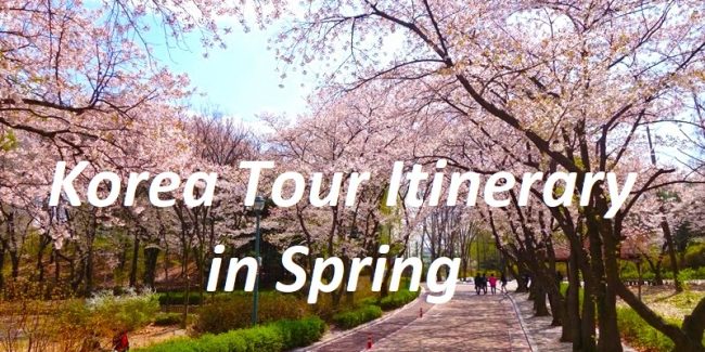 Korea Tour Itinerary in Spring