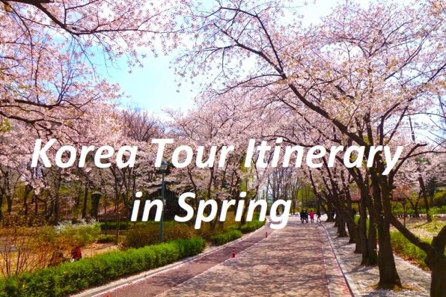 Korea Tour Itinerary in Spring Korea Tour Itinerary in Spring