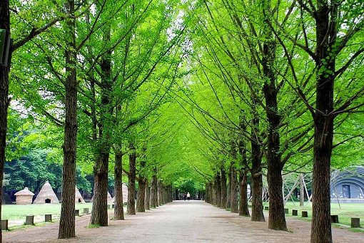 Nami Island