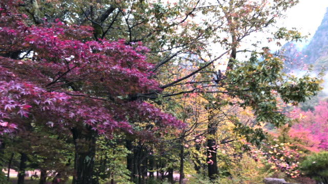 Seoraksan-National-Park