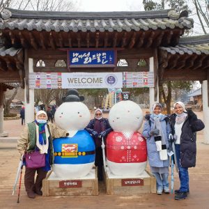 [02/12-15 Nami Island & Mt.Seoark & Seoul Tour from Malaysia]