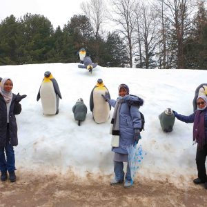 [02/12-15 Nami Island & Mt.Seoark & Seoul Tour from Malaysia]