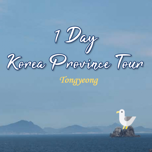 1 Day Korea Province Tour