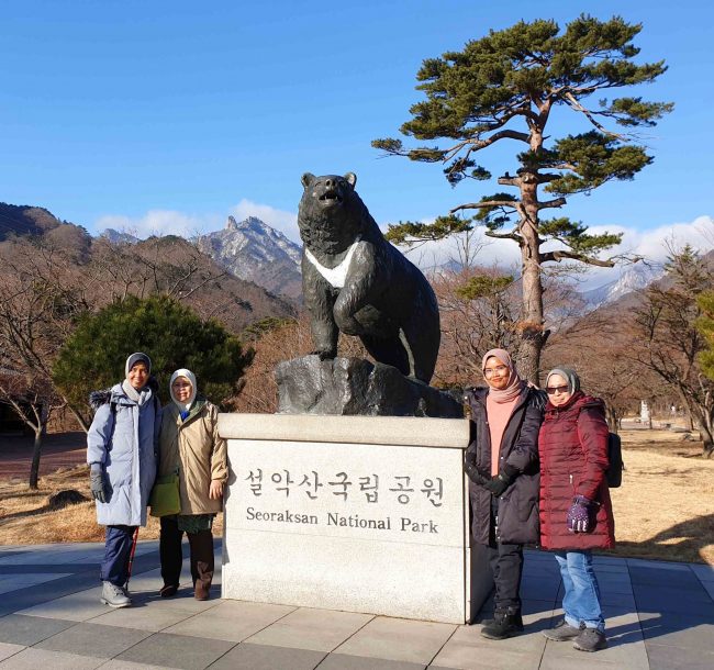 [02/12-15 Nami Island & Mt.Seoark & Seoul Tour from Malaysia]