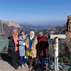 [02/12-15 Nami Island & Mt.Seoark & Seoul Tour from Malaysia]