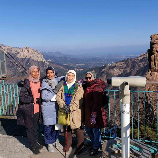 [02/12-15 Nami Island & Mt.Seoark & Seoul Tour from Malaysia]