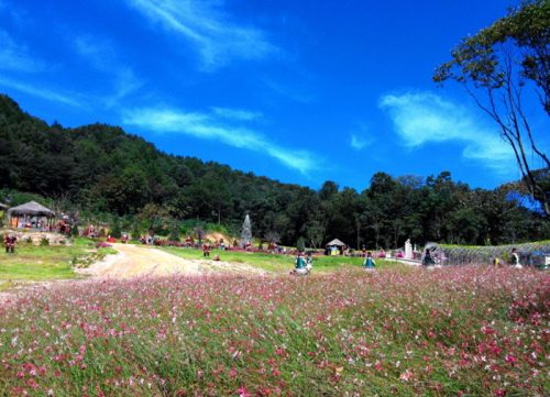 Pocheon Herb Island