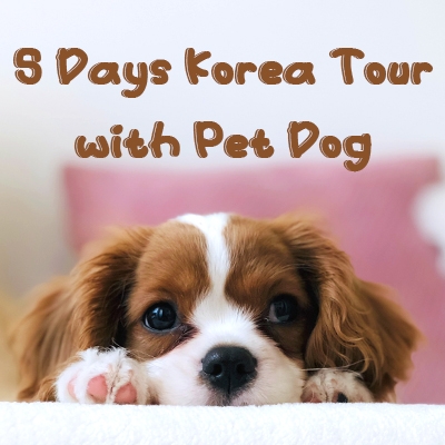 5 Days Korea Tour with Pet Dog