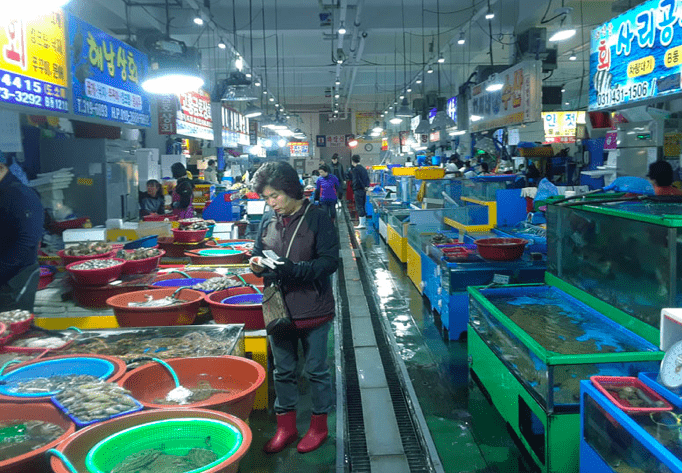 Oido Fish Market Oido Fish Market