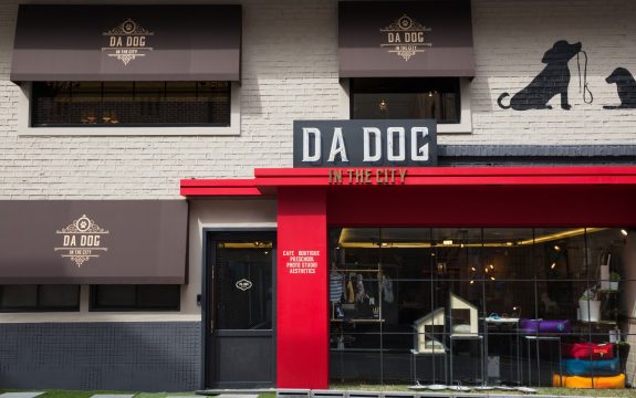 Da Dog In The City 3 Da Dog In The City 3