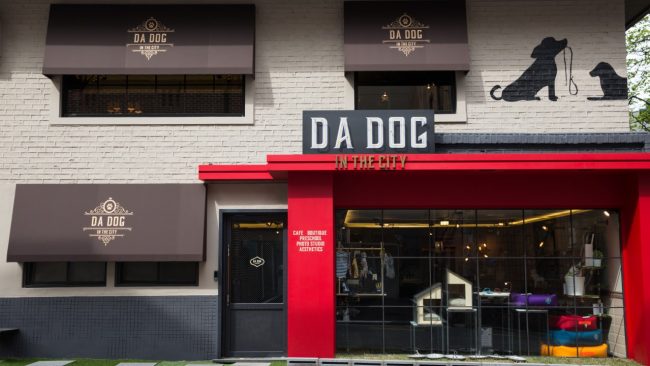 Da Dog In The City 3 Da Dog In The City 3
