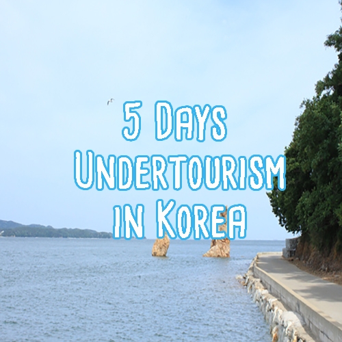 5 Days undertourism in Korea profile