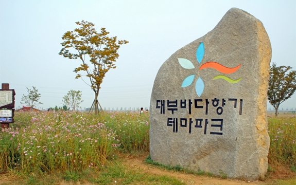 Daebu Bada Hyanggi Theme Park