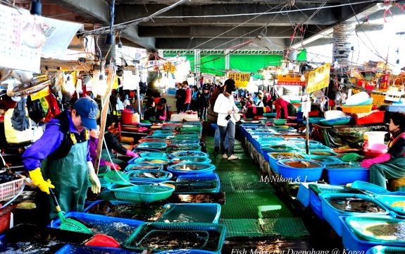 Daepohang Fish Market 2