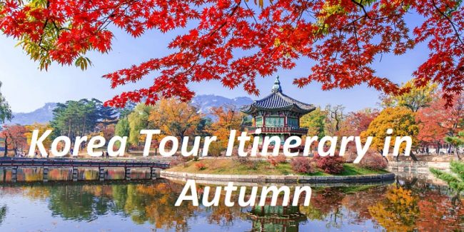 Korea Tour Itinerary in Autumn