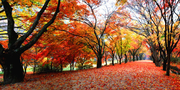 Gyeryongsan National Park