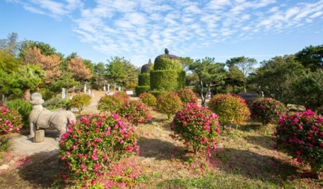 Jeju Herb Dongsan 2 Jeju Herb Dongsan 2