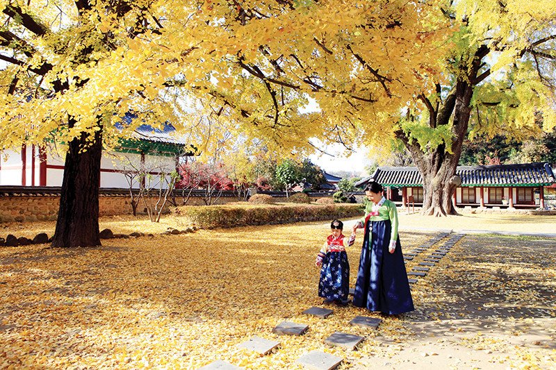 Jeonju Hanok Village