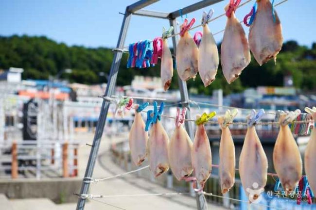 Daepohang Fish Market Daepohang Fish Market