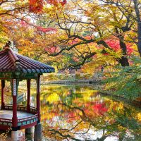 Changdeokgung Palace & Huwon