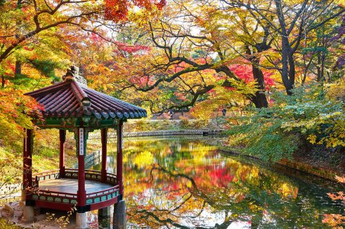 Changdeokgung Palace & Huwon