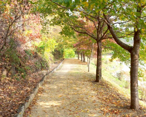 Yeongyang Beosun Trail