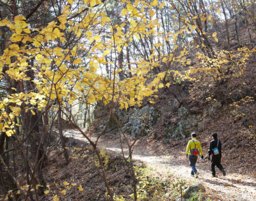 Yeongyang Beosun Trail