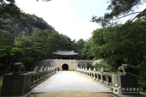 Mungyeong Saejae Trekking Tour