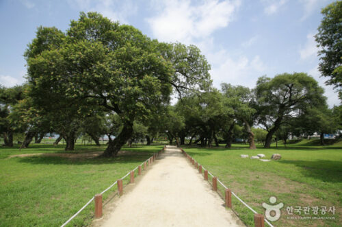 Seongbak Forest