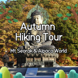 Autumn Leaves Mt Seorak & Alpaca World
