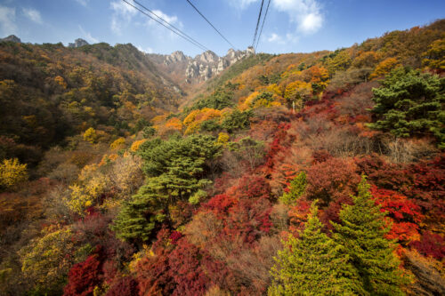 Daedunsan Mt