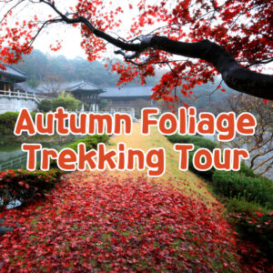 Autumn foliage trekking Tour