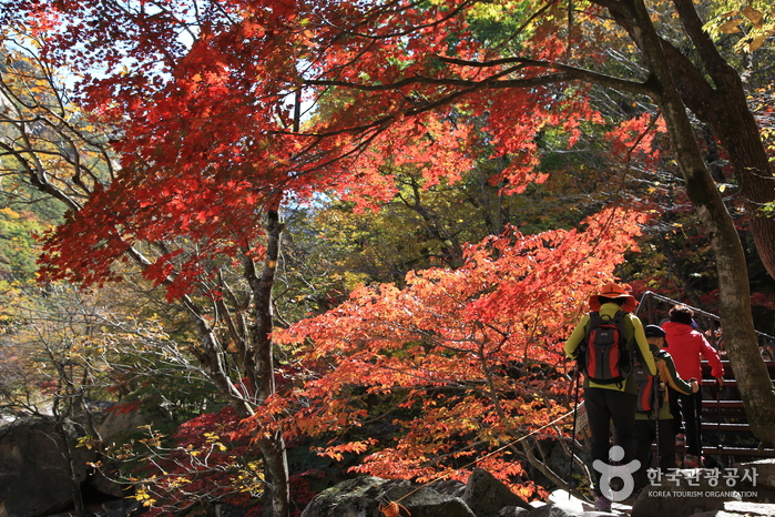 Mt. Seorakaksan in Autumn