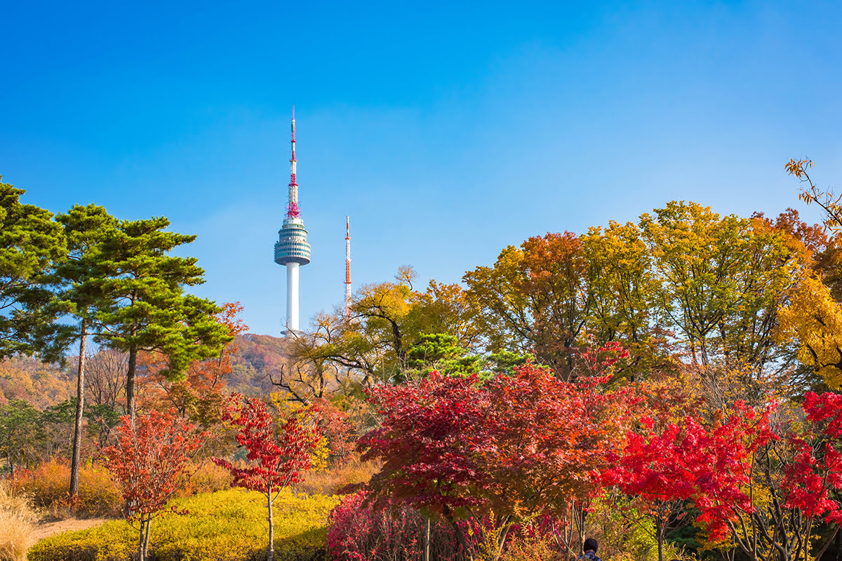 Namsan Tower & Namsan Park