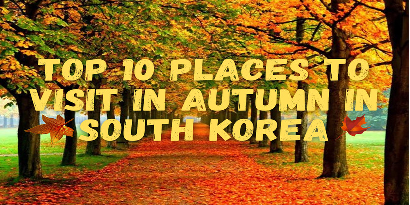 The autumn south in 13 Destinations