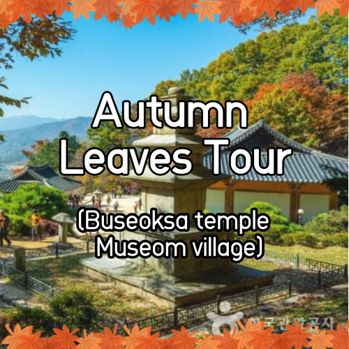Autumn Leaves Buseoksa & Museom village