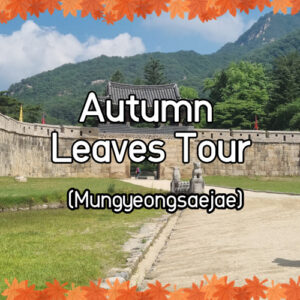 Autumn Leaves Mungyeongsaejae
